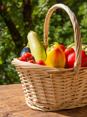 Basket with fresh vegetables on a wooden table in the yard on a background of trees close-up