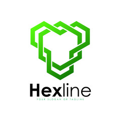 Modern elegant hexagon tribal line logo.