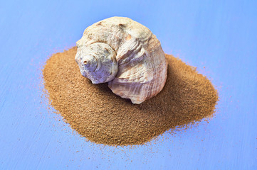 Seashell and heap of dry sand on blue scratched concrete