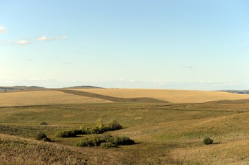 Obraz premium Russia. Western Siberia. The foothills of the Altai mountains