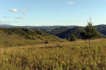  Russia. Western Siberia. The foothills of the Altai mountains