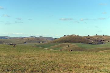 Obraz premium Russia. Western Siberia. The foothills of the Altai mountains