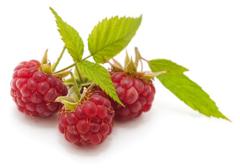 Raspberry with leaves.
