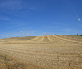 Fototapeta na wymiar paysage agricole