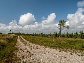 Chemin de colline du parc d'armorique