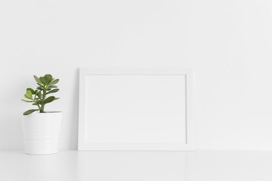 White frame mockup with a crassula plant in a pot on a white table.Landscape orientation.