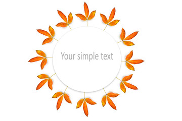 Autumn circular decoration made of colorful elements: leaves, chestnuts and acorns on white background.