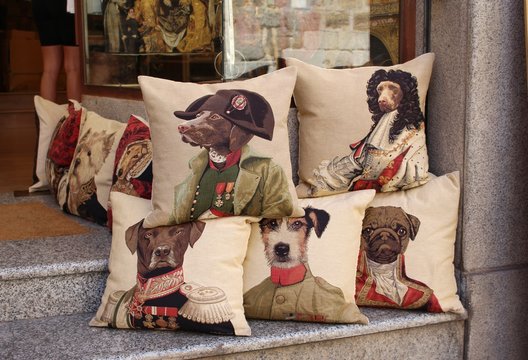 pillows with dogs in the shop window, images of different dogs on the pillow