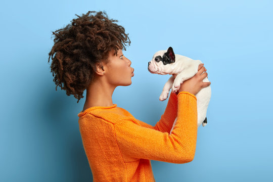Adult Afro girl stands in profile, raises little puppy in air, wants to kiss pet, expresses affection, wears orange jumper, isolated on blue background. Tender scene with people and animals.