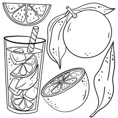 Vector contour illustration with grapefruit, parts, leaf and lemonade cocktail on white background. Good for printing. Coloring book ideas. Illustration with fruits. Botanical illustration.