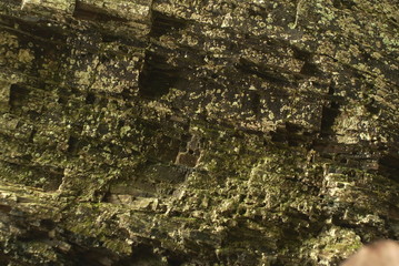 old dirty rock background texture