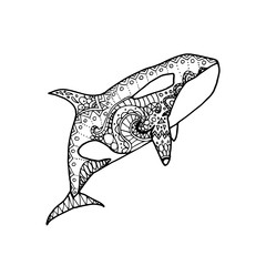 Vector illustration of hand drawn patterned killer whale. Doodle Orca. Coloring page book © olhabocharova