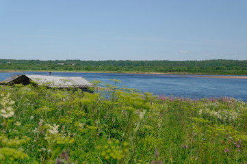 Summer Northern landscape, Pinega river, Arkhangelsk region, Russia