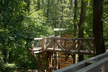 Wooden walkway in the forest in Kasz&oacute; in Hungary