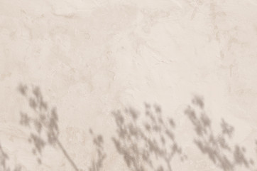 abstract background textuer of shadows herbs on a concrete light biege wall