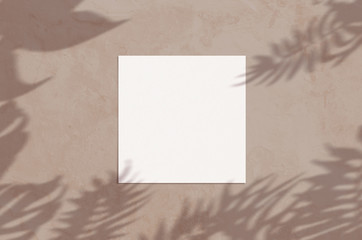 Summer modern sunlight stationery mockup scene. Flat lay top view blank greeting card with palm leaf and branches shadow overlay on grunge brown background.