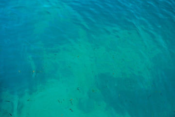 Background of the turquoise sea with fish. View from above