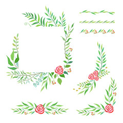 Herbal mix vector frame. Hand painted plants, branches and leaves on white background. Natural summer card design.