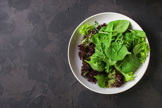 Healthy salad, leaves mix salad (mix micro greens, juicy snack). food background - Image. copy space