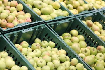 green apples in plastic boxes in the supermarket