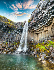 Amazing view of Svartifoss waterfall with basalt columns on South Iceland.