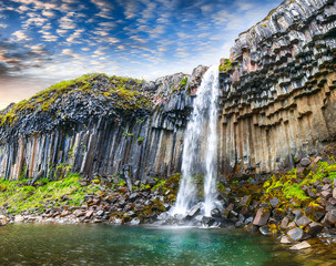 Amazing view of Svartifoss waterfall with basalt columns on South Iceland.