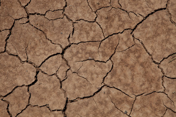 cracked soil from thirst