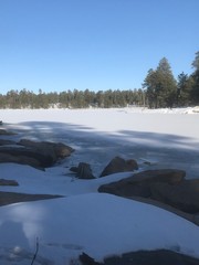 winter landscape with river and trees