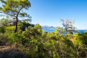 The coast of Mediterranean sea