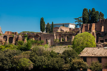 Temple of Apollo Palatinus on Palatine Hill of ancient Rome and Circus Maximus