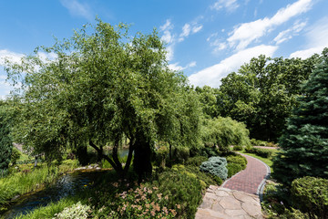 path near trees and green bushes on grass against blue sky with white clouds