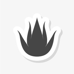 Aloe vera sticker icon. Aloe vera icon for web design isolated on white background