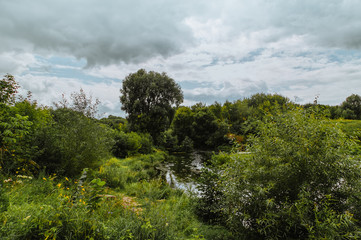Obraz premium Forest nearby of Moscow, Serpukhov, park