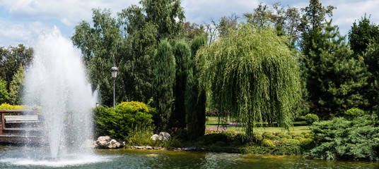 panoramic shot of fountain in pond near green trees and plants on grass