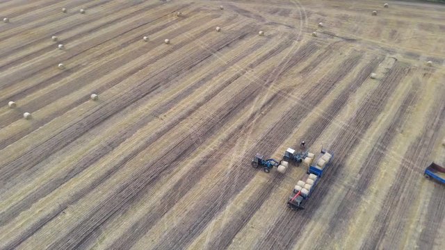 Aerial: Haymaking. Tractor collecting round bales of hay and loaded to truck. Agricultural Footage On the Field.