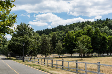 path with yellow line near fence and trees with green fresh leaves