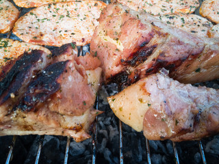 Grilled Meat Detail 
