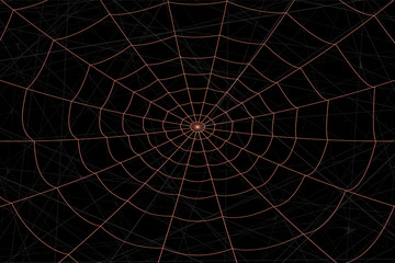 concentric white web on a gray background