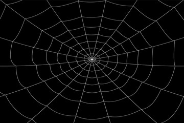 concentric white web on a gray background