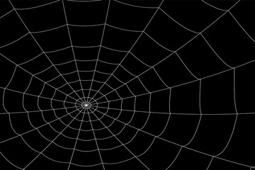 concentric white web on a gray background