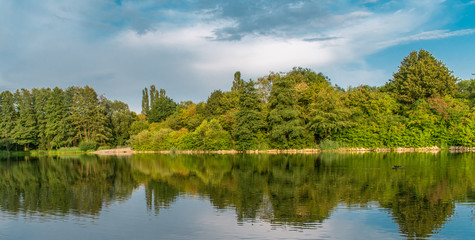 Fototapeta na wymiar reflection of trees in a lake