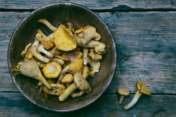 Chanterelle mushrooms on a wooden background. Raw mushrooms in a wooden bowl.