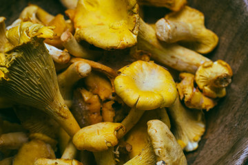 Chanterelle mushrooms on a wooden background. Raw mushrooms in a wooden bowl.