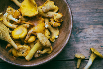 Chanterelle mushrooms on a wooden background. Raw mushrooms in a wooden bowl.