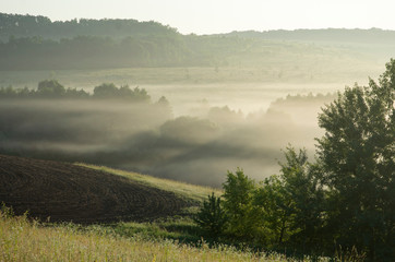 A foggy morning over the green hills, tranquility, peace, a great start to the day.