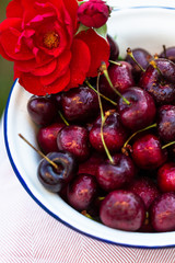 Red cherries in a white bowl