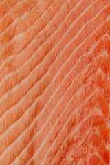 Texture of raw Norwegian salmon. Salmon close up. Fresh red salmon texture