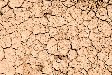 dry land texture