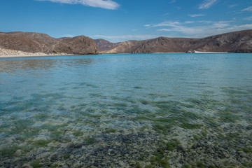 Crystal clear water of Balandra Beach, in a summer day  of vacations, La Paz Baja California Sur. MEXICO