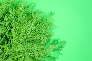 Bunch of dill on a green background